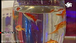 ترانه زیبای " جاده و بارون " ب...