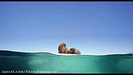 تریلر مستند" سیاره آبی ما "  Oceans Our Blue Planet (2019)   زمان104ثانیه