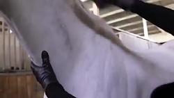 افسانه بایگان درفصل دوم سریال...