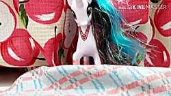 کلاس آنلاین در پونی ویل