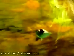 سونات پیانو فردریک شوپن