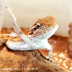 اصل صداگذاری اینه