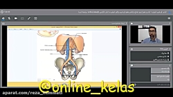 خلاصه ای از کلاس های روز چهارم...