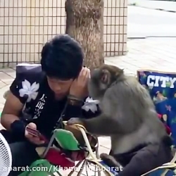 چه آماری رد و بدل میکنن