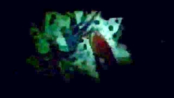 انیمه Naruto : The Last {نسخه...