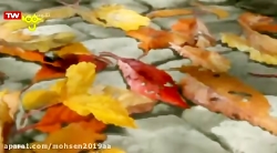 بینوایان دختری به نام کوزت روز...