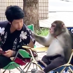 چه آماری رد و بدل میکنن