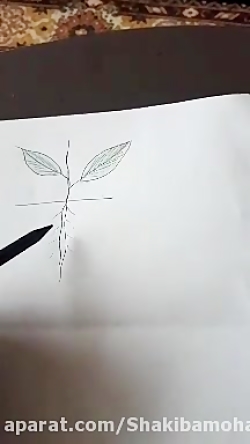 اموزش علوم سوم مبحث گیاهان