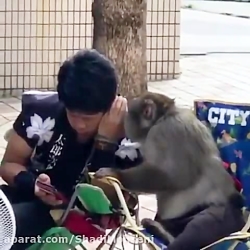 چه آماری رد و بدل میکنن