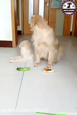 یه مادر همیشه مادره