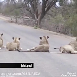 دوبله مشهدی خنده دار :)