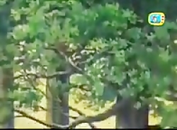 کارتون حنا دختری در مزرعه قسمت...