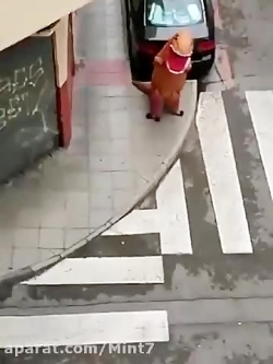 تو اسپانیا یارو این شکلی از قر...