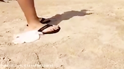 نتیجه یک سهل‌انگاری کوچک ما می...