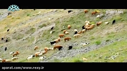 قلعه پشتاب هوراند