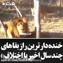 کلیپ خنده دار..دوبله خنده دار...