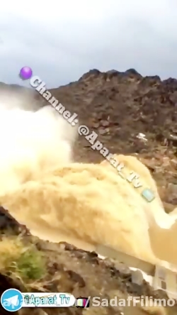 خوانندگی حیوانات عجب صدایی به...