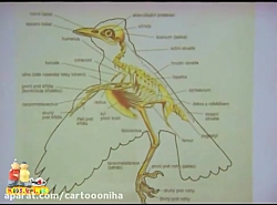 کارتون پت و مت | قسمت 49