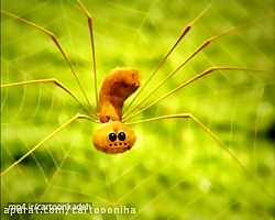 کارتون زندگی حشرات | قسمت 57