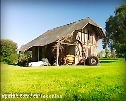 کارتون زندگی حشرات | قسمت 58