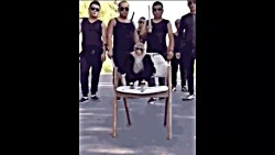 وقتی که میگن خوشتیپ گروه اومد...