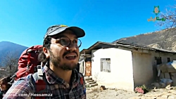 درخت عجیب سرخدار