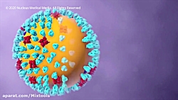 اگه کرونا بگیرید چی میشه ؟