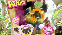 دیاناشو - دیانا و روما - دیانا...