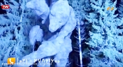 دانلود فیلم شکارچی ترول || اکش...