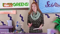 ​تشخیص انواع همیشه سبز!