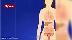 ​در طول بارداری چه اتفاقاتی می...