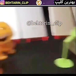 سرگرمی های قرنطیه