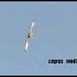 آهنگ فوق العاده زیبا  چه...کرد...