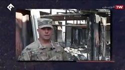 موج | واکنش ها درباره حمله موش...