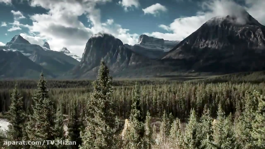 تریلر فیلم &laquo; Enter The W...