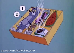 تام جری  قسمت 123