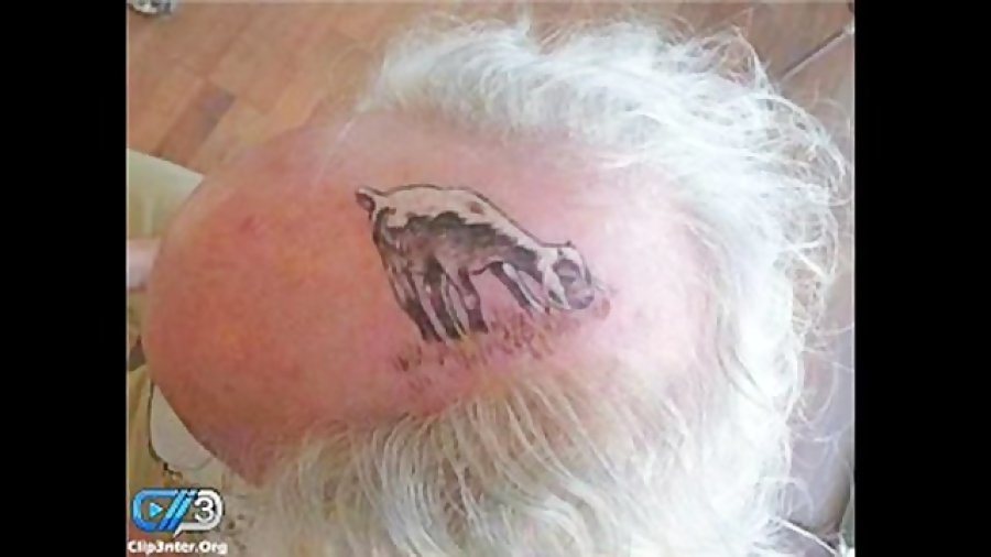 عکس خنده دار از نقاشی باحال روی سر یک پیرمرد کچل عکس خنده دار از نقاشی باحال روی سر یک پیرمرد کچل