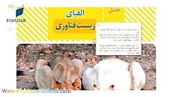 زیست شناسی هشتم  فصل 7 زیست فن...