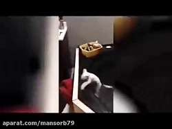 فقط برای خنده _ ویدیو های جالب...