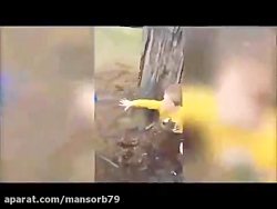جالبترین  ویدئو  ویدیو های جال...