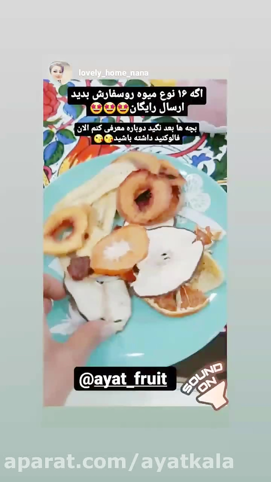 بزرگترین تولیدی میوه خشک عمده نرگسیان (آیت)