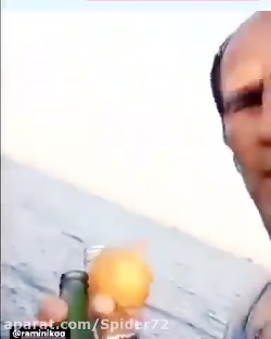 شاهین نمیخوری