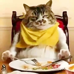 تعطیلات نوروز را چگونه گذراندی...