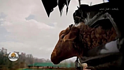 پایتخت6- نقی خرج ماشینو به زور...