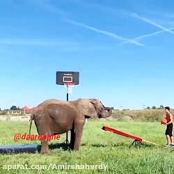 اینم خوبه(فالوشم لطفااا)