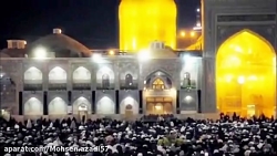 دلتنگ امام رضا