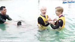 یادتون نره فالوم کنید