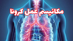 مکانسیم بیماری زایی کرونا در ب...