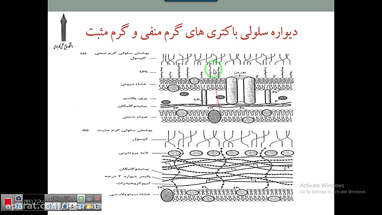 میکروبیولوژی-جلسه اول ترمیم ونیر
