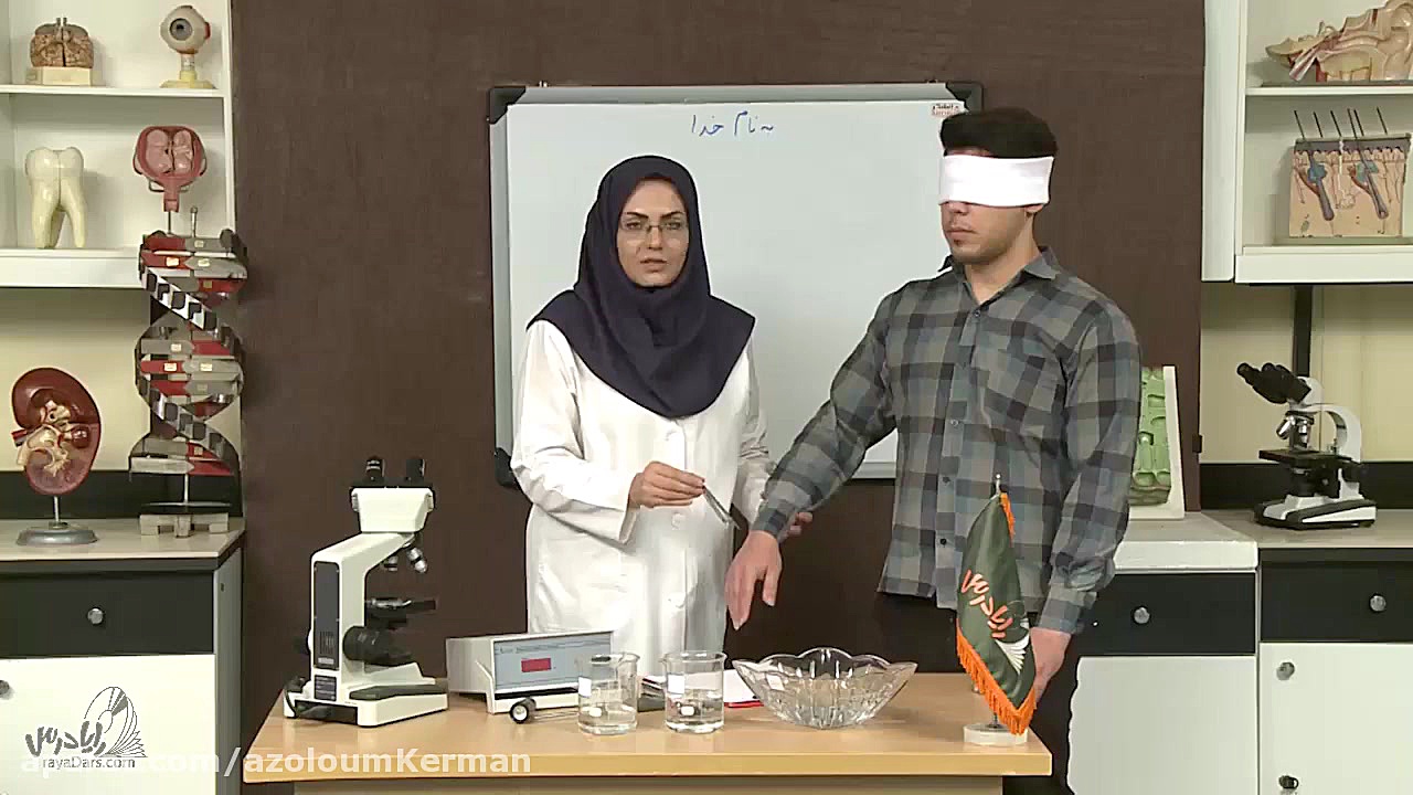 آشنایی با کارکرد دستگاه عصبی کاشت ابرو